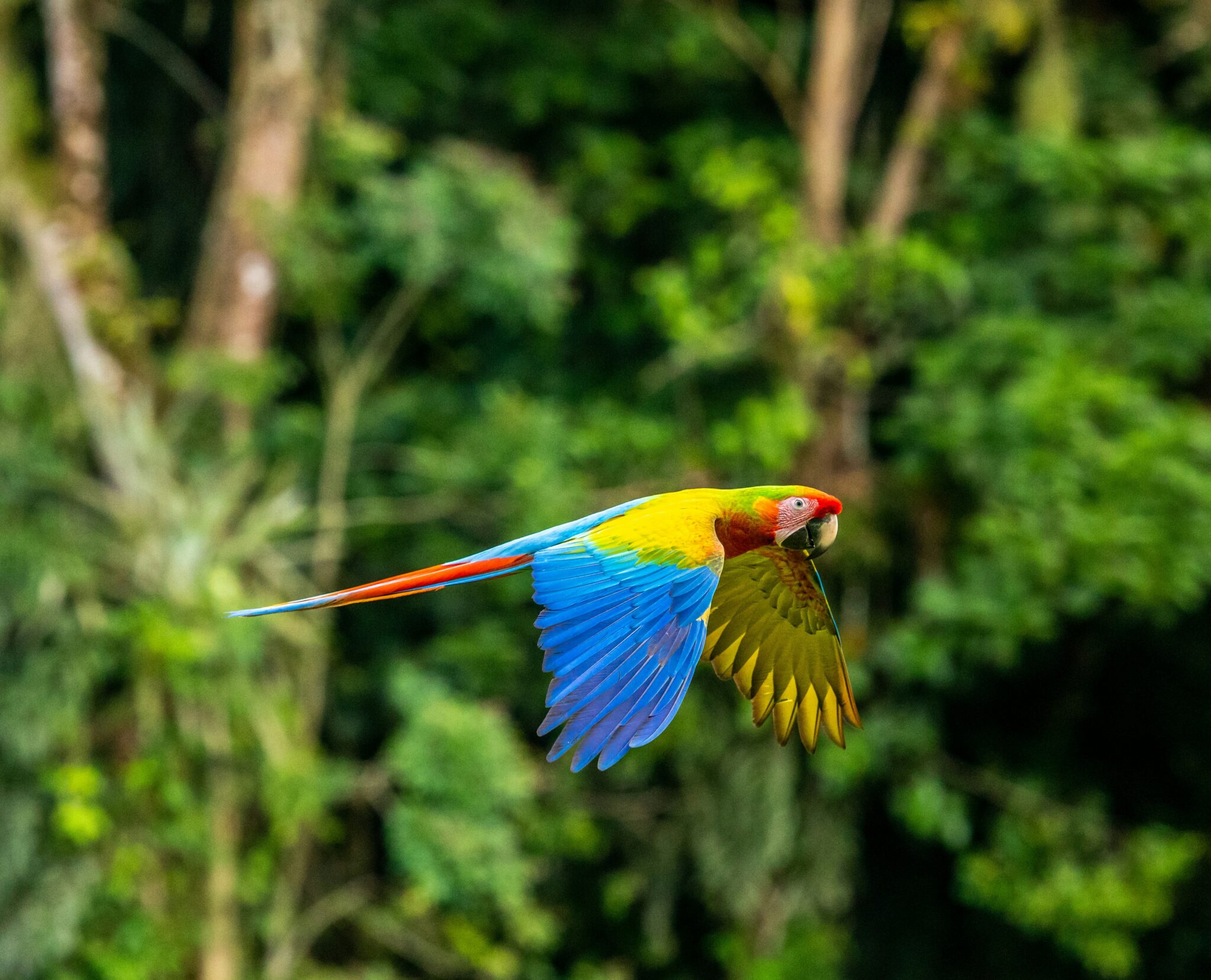 Costa Rica 2025: Planeje sua viagem com segurança, economia e aventura