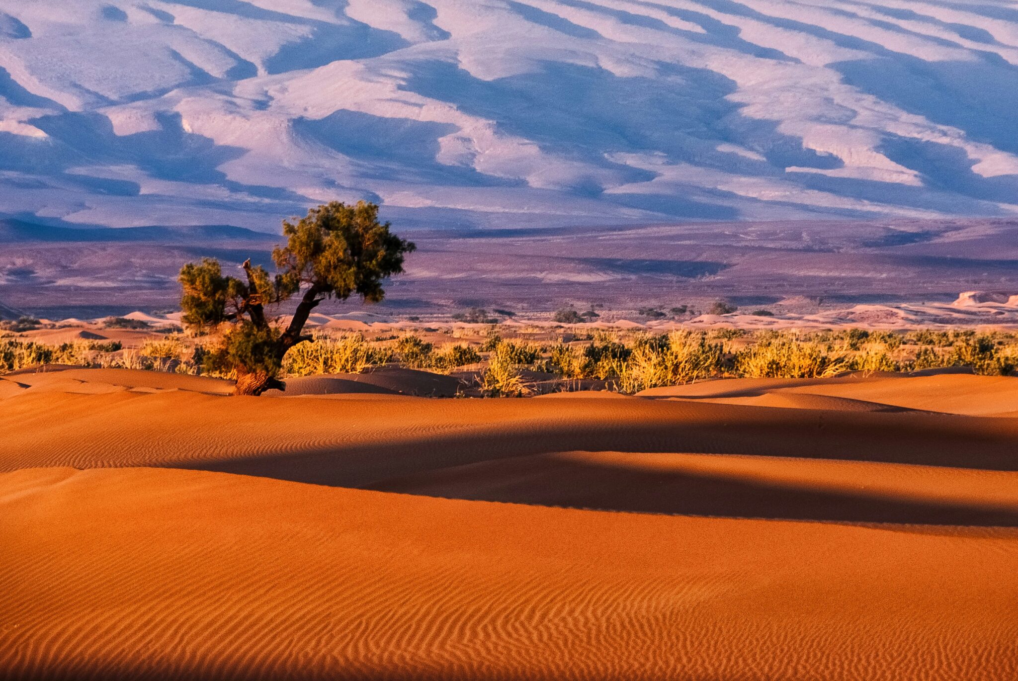 Marrocos: Uma Jornada Inesquecível pela Terra da Cultura, História e Natureza
